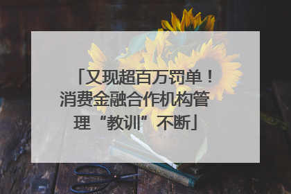又现超百万罚单！消费金融合作机构管理“教训”不断
