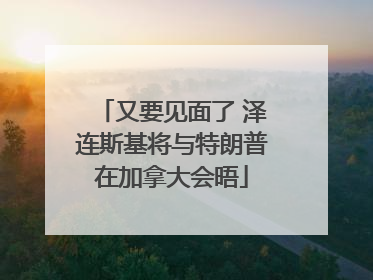又要见面了 泽连斯基将与特朗普在加拿大会晤