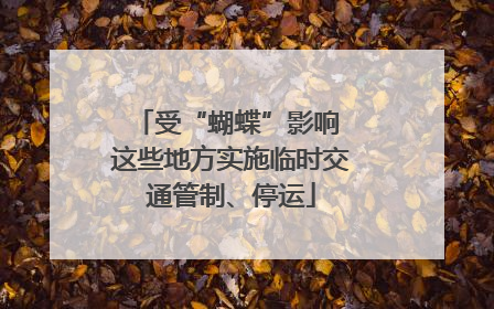 受“蝴蝶”影响 这些地方实施临时交通管制、停运
