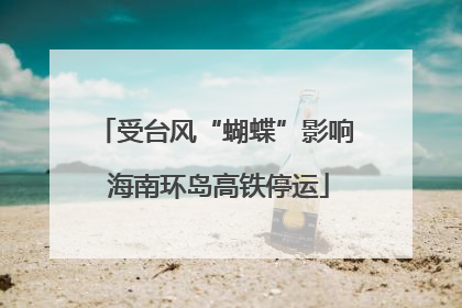 受台风“蝴蝶”影响 海南环岛高铁停运