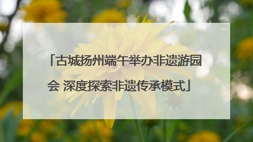 古城扬州端午举办非遗游园会 深度探索非遗传承模式