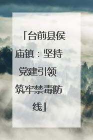 台前县侯庙镇：坚持党建引领 筑牢禁毒防线
