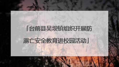 台前县吴坝镇组织开展防溺亡安全教育进校园活动
