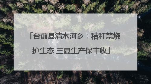 台前县清水河乡：秸秆禁烧护生态 三夏生产保丰收