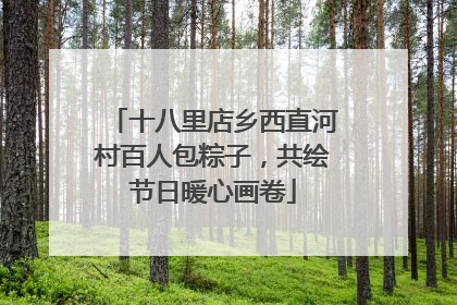 十八里店乡西直河村百人包粽子，共绘节日暖心画卷