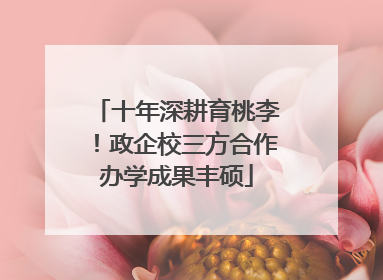 十年深耕育桃李！政企校三方合作办学成果丰硕
