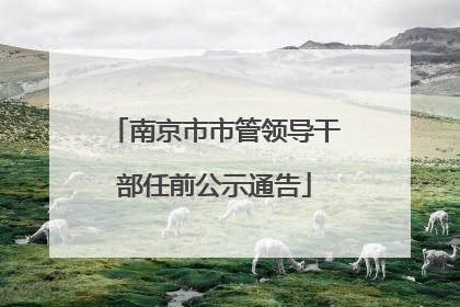 南京市市管领导干部任前公示通告