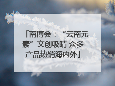 南博会：“云南元素”文创吸睛 众多产品热销海内外