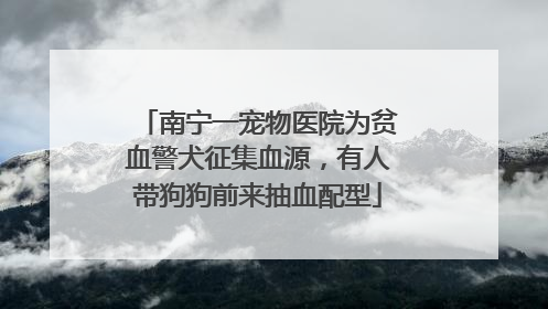 南宁一宠物医院为贫血警犬征集血源，有人带狗狗前来抽血配型