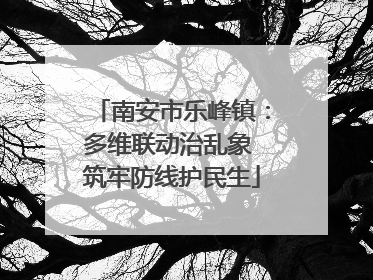 南安市乐峰镇：多维联动治乱象 筑牢防线护民生