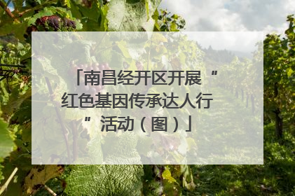 南昌经开区开展“红色基因传承达人行”活动（图）