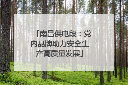 南昌供电段：党内品牌助力安全生产高质量发展
