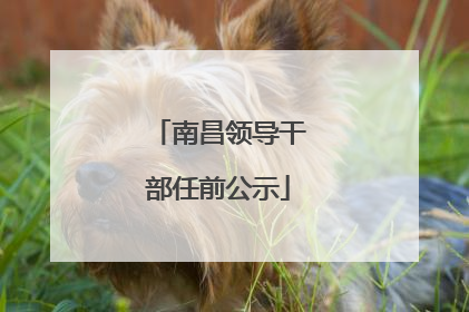 南昌领导干部任前公示
