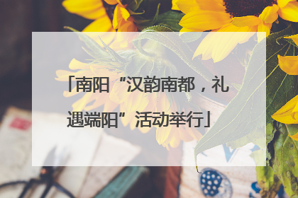 南阳“汉韵南都，礼遇端阳”活动举行