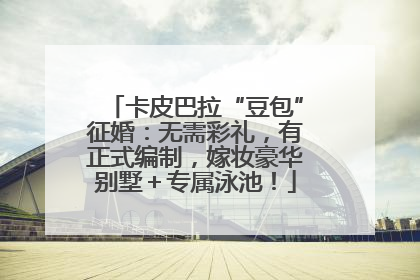 卡皮巴拉“豆包”征婚：无需彩礼，有正式编制，嫁妆豪华别墅＋专属泳池！