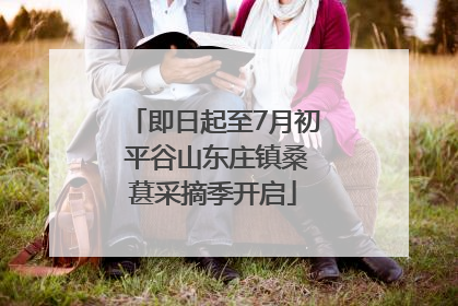 即日起至7月初 平谷山东庄镇桑葚采摘季开启