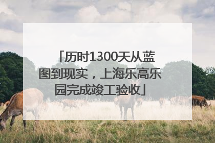 历时1300天从蓝图到现实，上海乐高乐园完成竣工验收