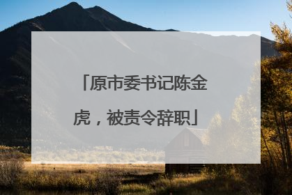 原市委书记陈金虎，被责令辞职