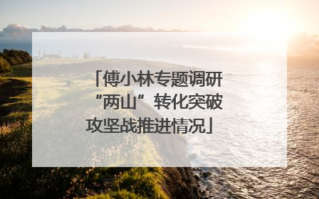傅小林专题调研“两山”转化突破攻坚战推进情况