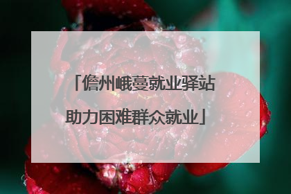 儋州峨蔓就业驿站助力困难群众就业