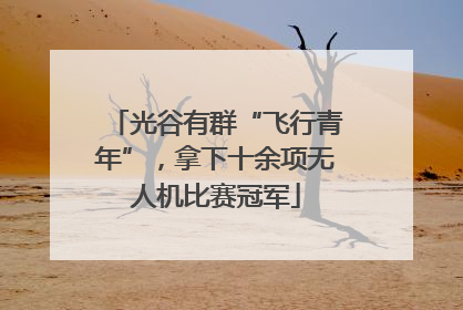 光谷有群“飞行青年”，拿下十余项无人机比赛冠军