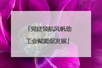 党建领航风帆劲 工会赋能促发展