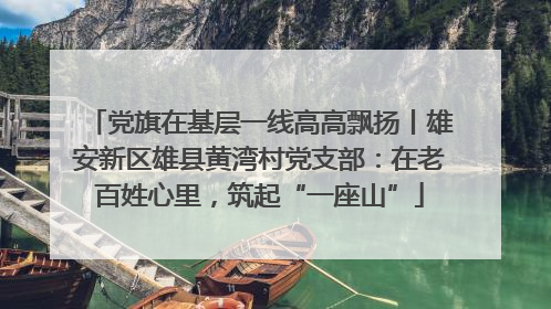 党旗在基层一线高高飘扬丨雄安新区雄县黄湾村党支部：在老百姓心里，筑起“一座山”