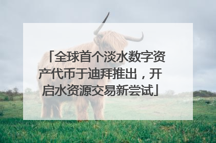 全球首个淡水数字资产代币于迪拜推出，开启水资源交易新尝试