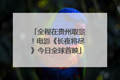 全程在贵州取景！电影《长夜将尽》今日全球首映