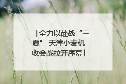 全力以赴战“三夏” 天津小麦机收会战拉开序幕