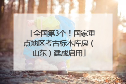 全国第3个！国家重点地区考古标本库房（山东）建成启用