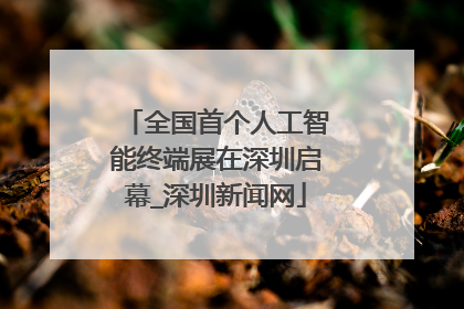 全国首个人工智能终端展在深圳启幕_深圳新闻网