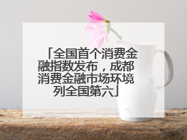 全国首个消费金融指数发布，成都消费金融市场环境列全国第六