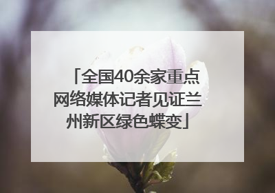 全国40余家重点网络媒体记者见证兰州新区绿色蝶变