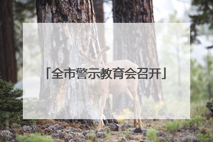 全市警示教育会召开