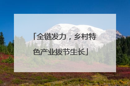 全链发力，乡村特色产业拔节生长