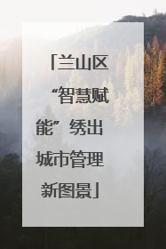 兰山区“智慧赋能”绣出城市管理新图景