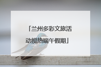 兰州多彩文旅活动搅热端午假期
