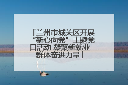 兰州市城关区开展“新心向党”主题党日活动 凝聚新就业群体奋进力量