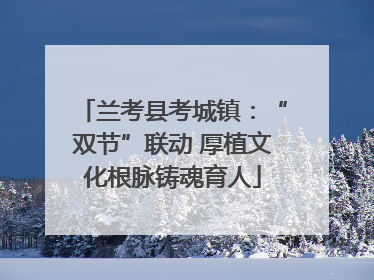 兰考县考城镇：“双节”联动 厚植文化根脉铸魂育人