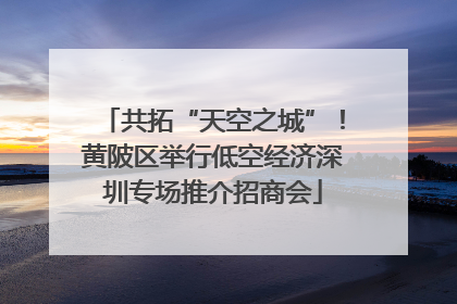 共拓“天空之城”！黄陂区举行低空经济深圳专场推介招商会