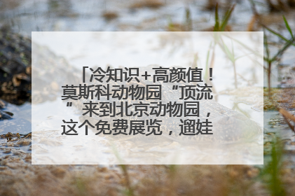 冷知识+高颜值！莫斯科动物园“顶流”来到北京动物园，这个免费展览，遛娃拍照两不误！