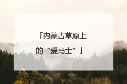 内蒙古草原上的“爱马士”