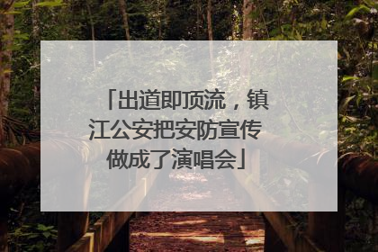出道即顶流，镇江公安把安防宣传做成了演唱会