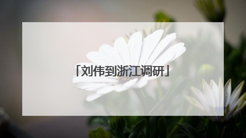 刘伟到浙江调研