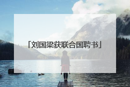 刘国梁获联合国聘书