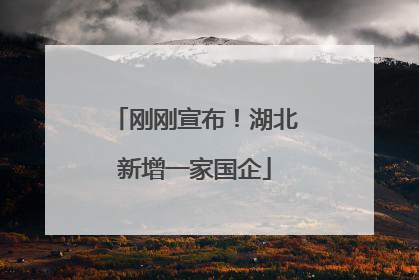 刚刚宣布！湖北新增一家国企