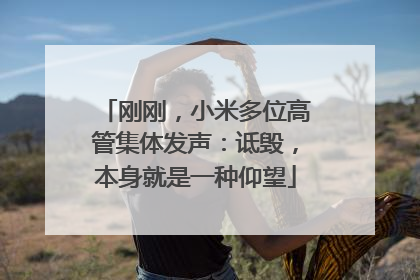 刚刚，小米多位高管集体发声：诋毁，本身就是一种仰望