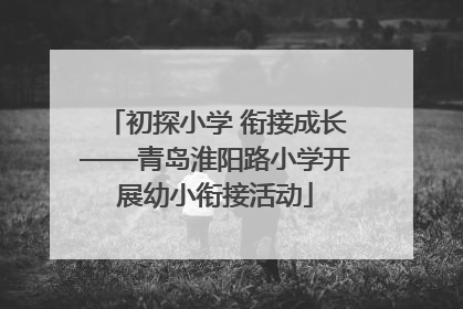 初探小学 衔接成长——青岛淮阳路小学开展幼小衔接活动