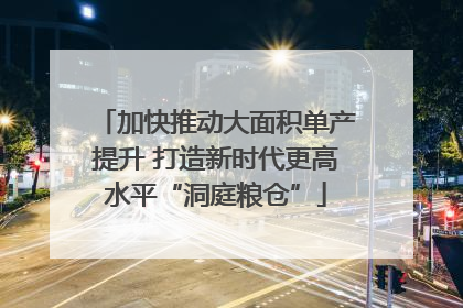 加快推动大面积单产提升 打造新时代更高水平“洞庭粮仓”